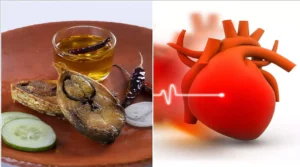 হার্ট অ্যাটাক ও স্ট্রোক রুখবে রুই মাছের জাদু জানুন পুষ্টিবিদদের চাঞ্চল্যকর তথ্য