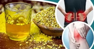 এক গ্লাস ধনে ভেজানো জলেই লুকিয়ে আছে মেদহীন শরীর ও সুস্থ কিডনির জাদুকরী সমাধান