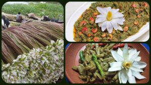 শাপলা খাচ্ছেন তো? রোগ প্রতিরোধ থেকে রক্তশর্করা নিয়ন্ত্রণ, ১০টি অবাক করা উপকারিতা!